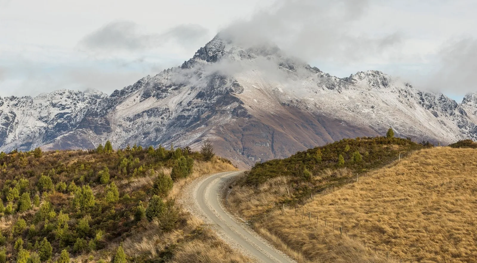 A gravel farm track curving through matagouri and tussock towards a fresh-snow-covered peak in the Southern Alps