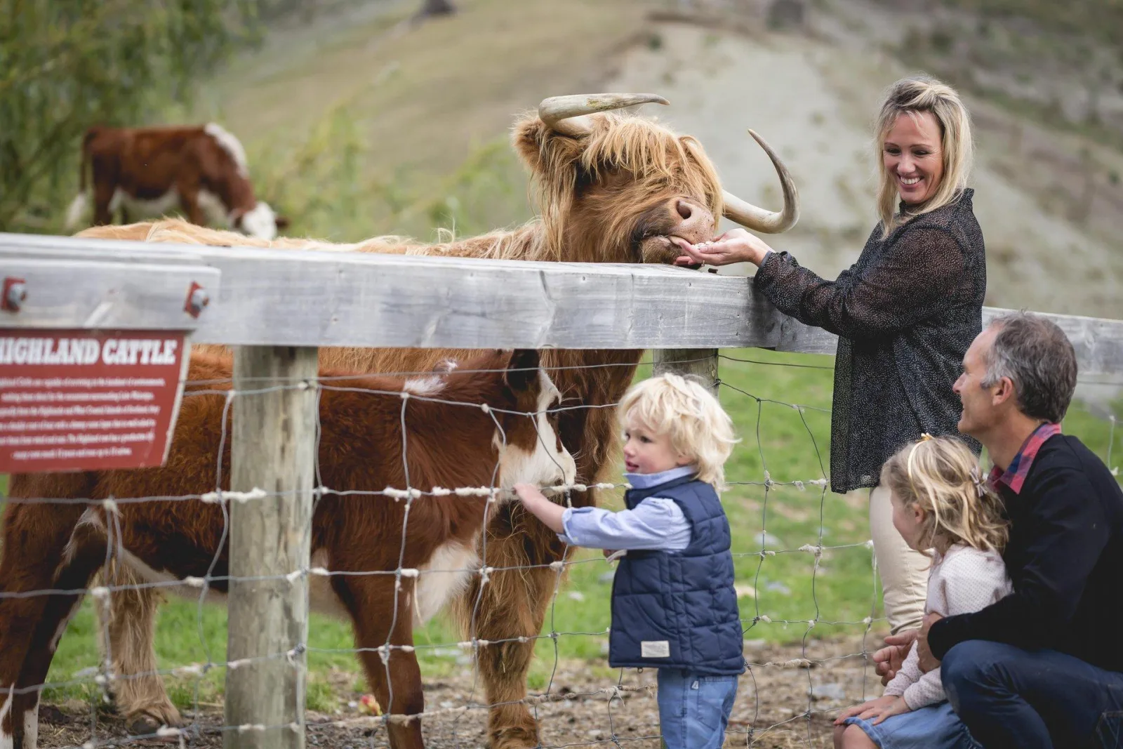 Queenstown: Queenstown Lake Cruise and Walter Peak Farm Tour