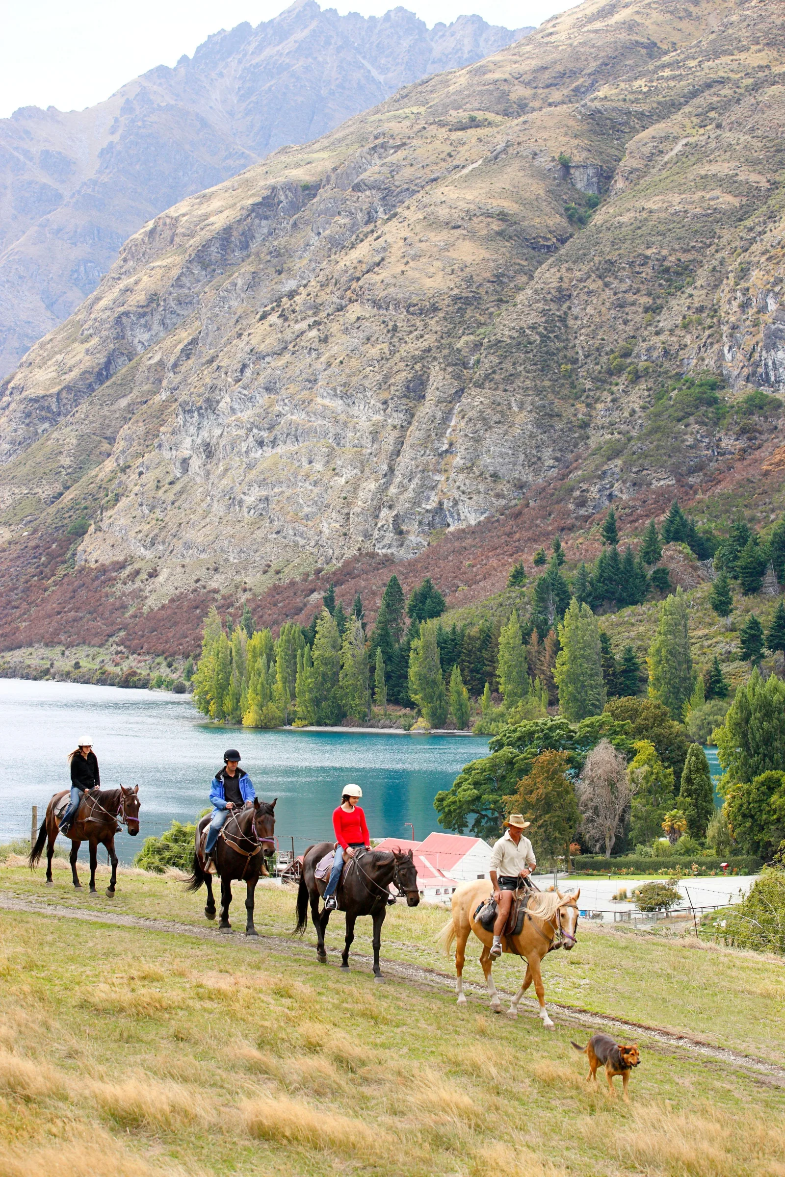 Riders on the open hillside above Walter Peak, the lake and mountains stretching out below them