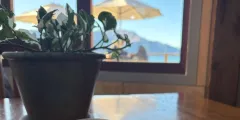 Guest photo from review